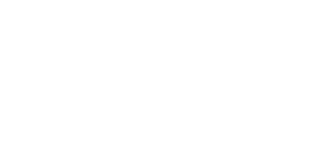 Logo 9